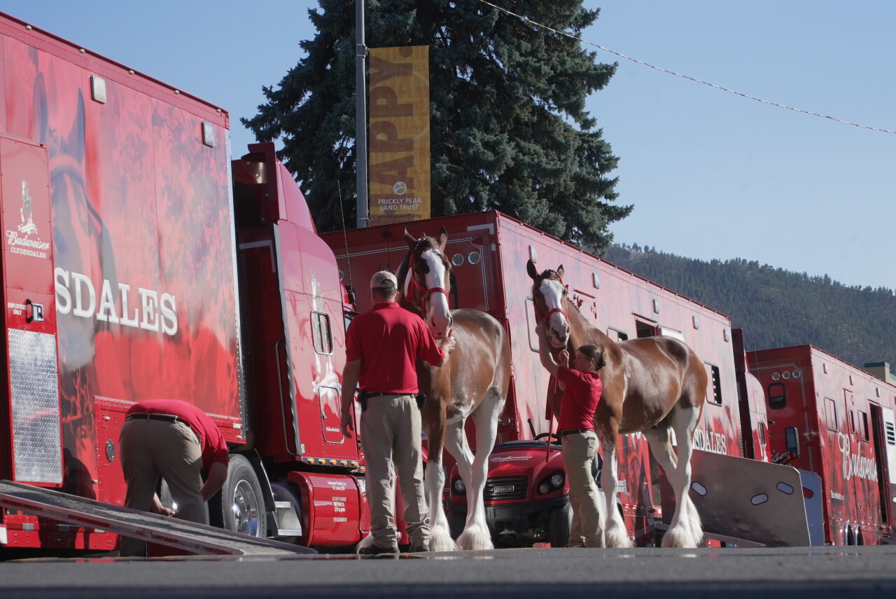 budweiser semis