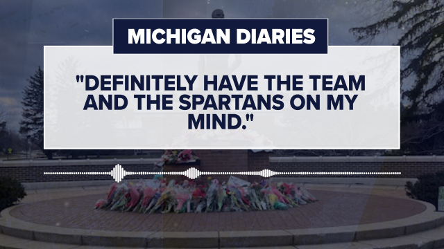 Michigan Diaries Project, Michigan State University