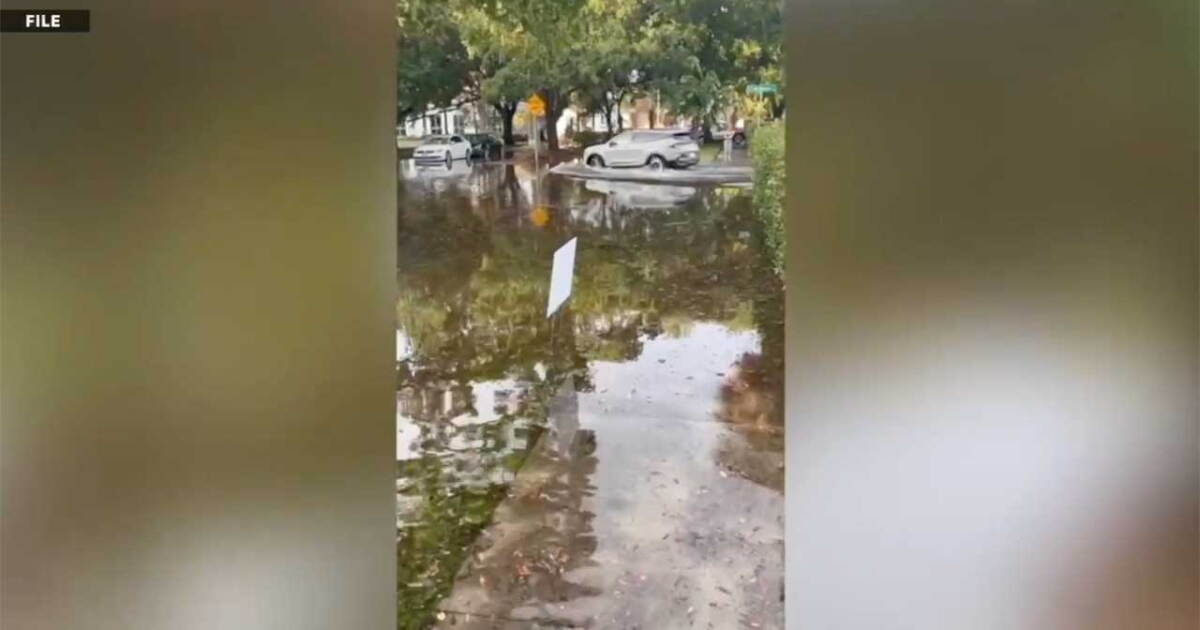 South Tampa flooding fix: City and SoHo Business Alliance clash over best solution