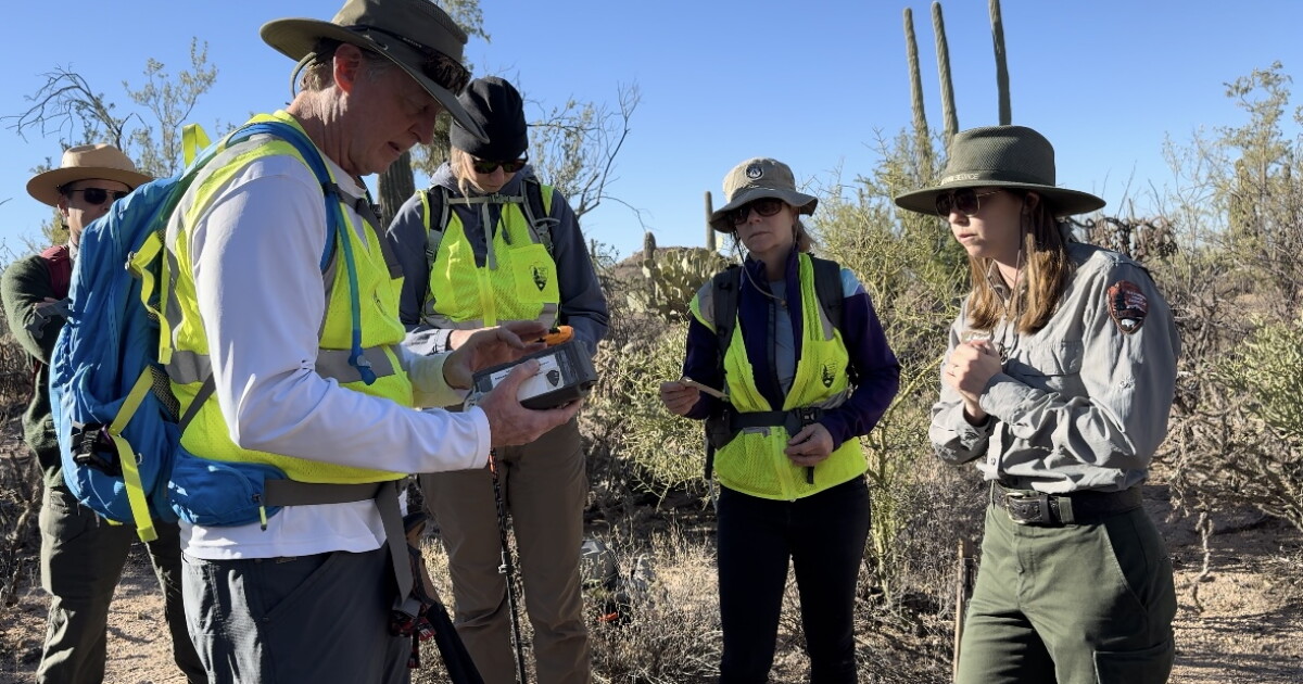 60 Cameras Transform Wildlife Monitoring in Saguaro Park