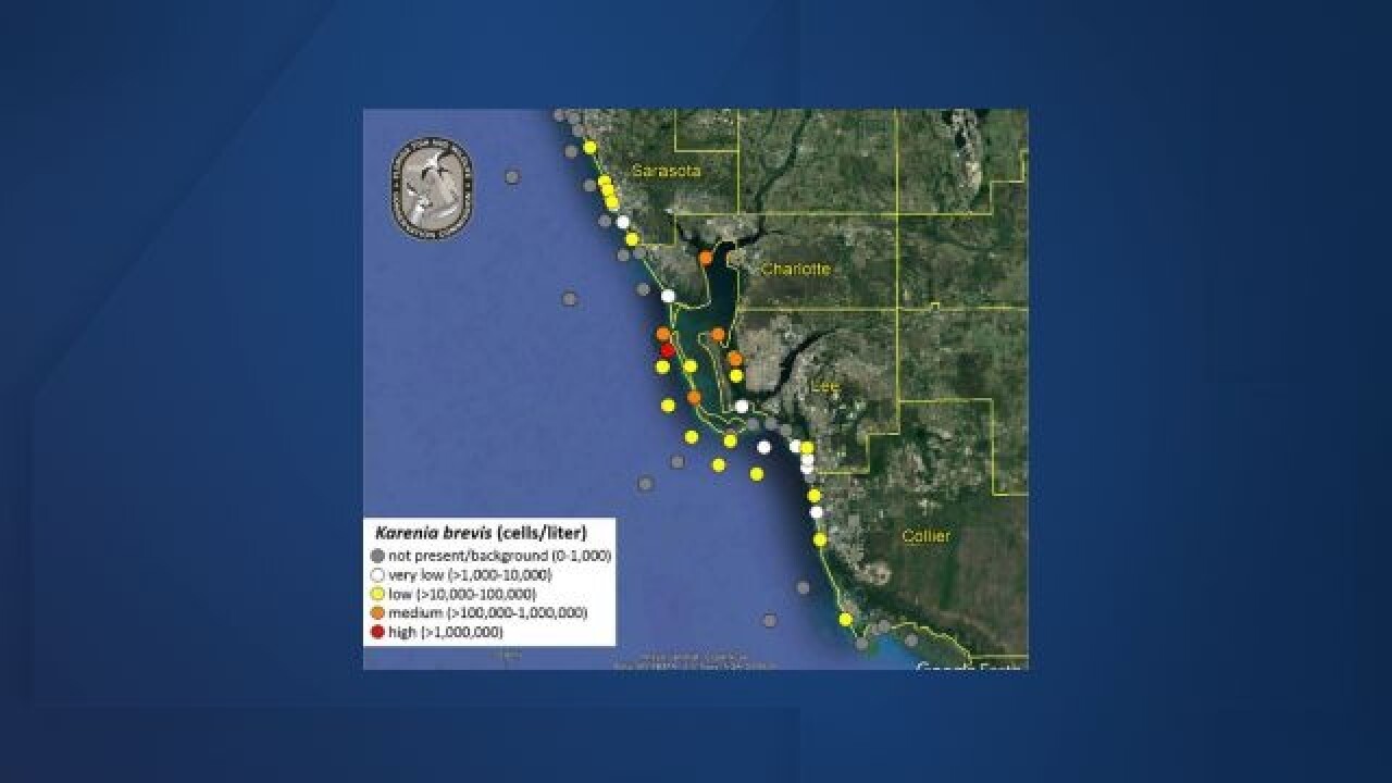 Red Tide Popping Up In Southwest Florida Fl Red Tide Map 2022
