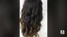 Fall Hair Color Trends