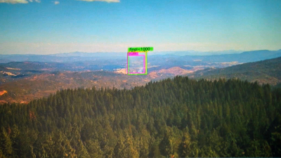 wildfire detection camera