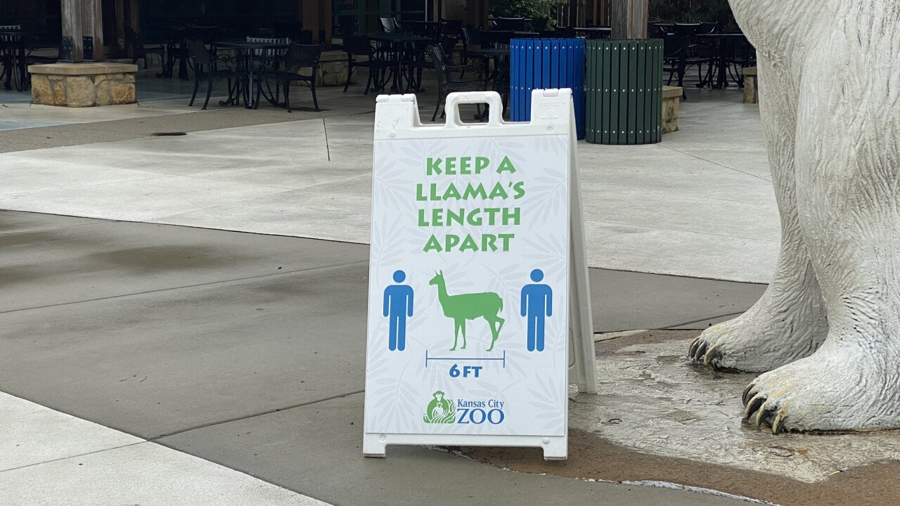 Kansas City Zoo puts safety procedures in place for reopening