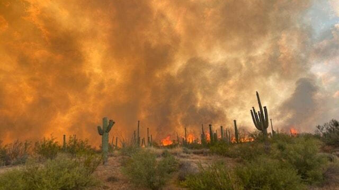 Thousands Forced To Evacuate As Arizona Wildfire Continues To Spread thousands-forced-to-evacuate-as-arizona-wildfire-continues-to-spread
