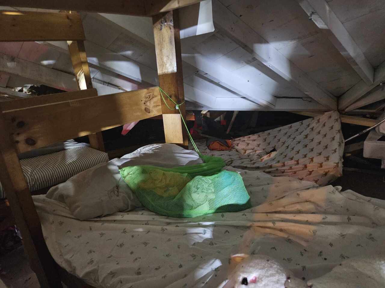 Eleven rescued after tree falls on cabin