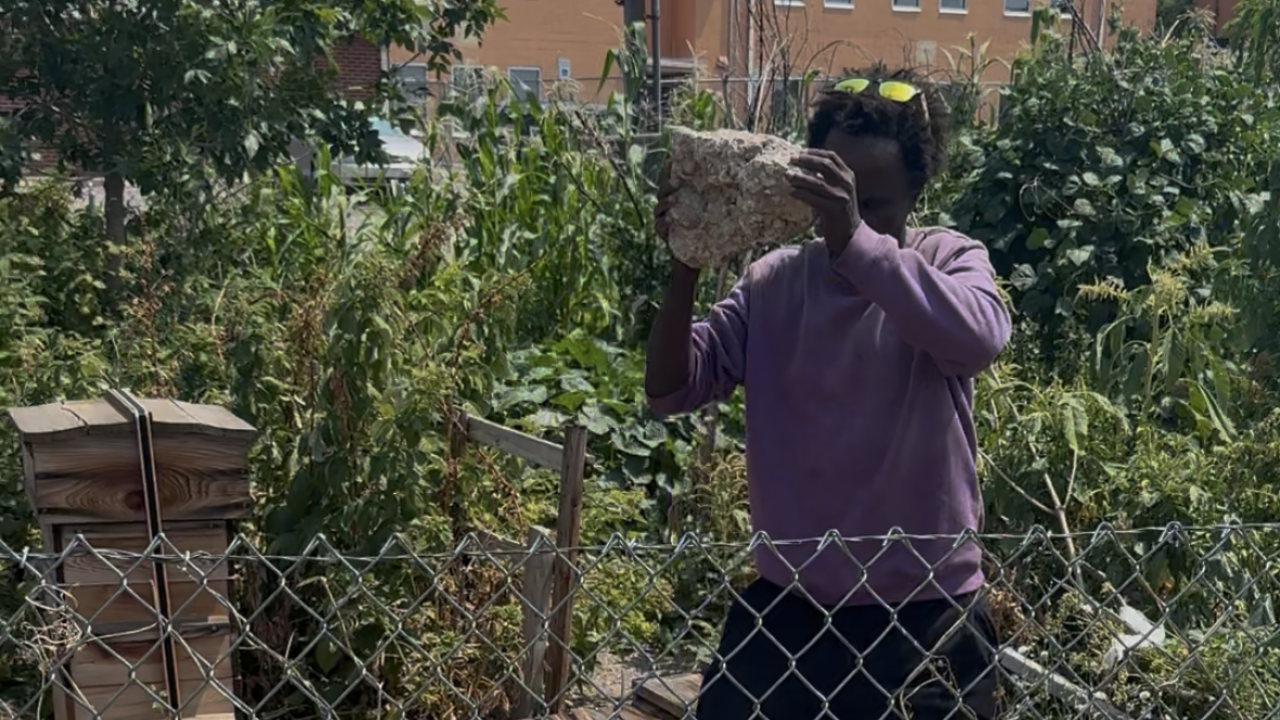 Aurora Community Garden.png