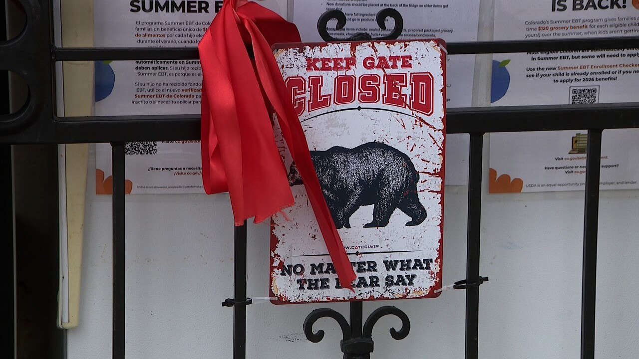 bear cage around fridge.jpg