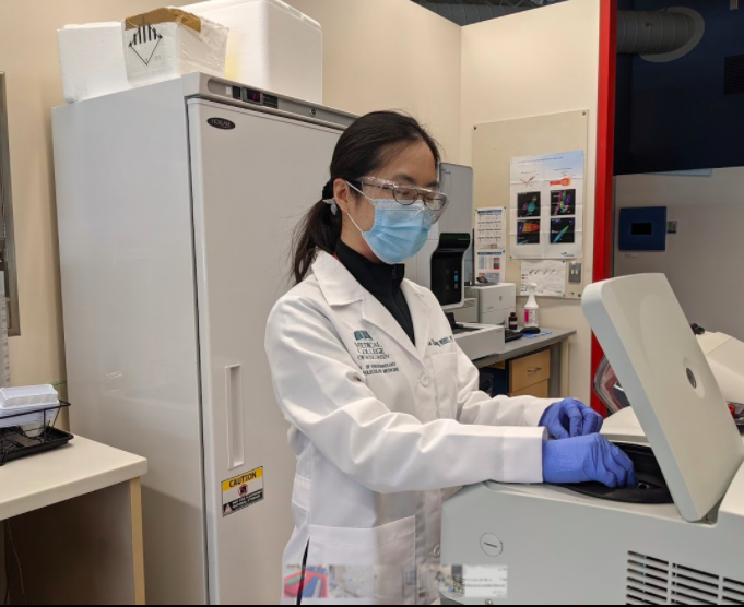 Screen Shot 2021-02-08 at 3.34.28 PM.png