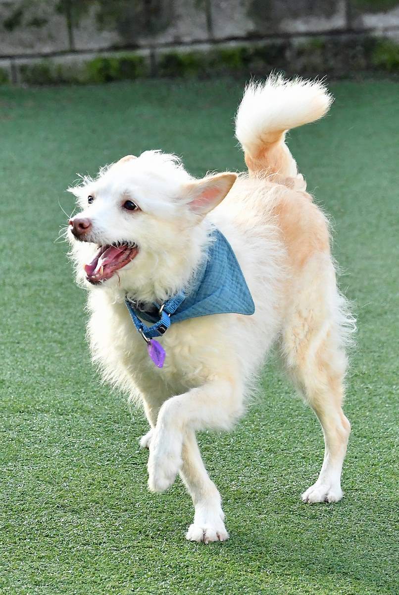 MSP_7397 copy (Copy) .jpg