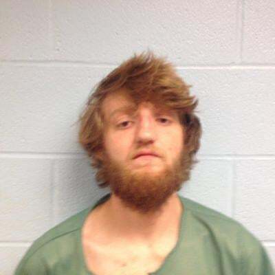 brown 2016 mugshot.jpg