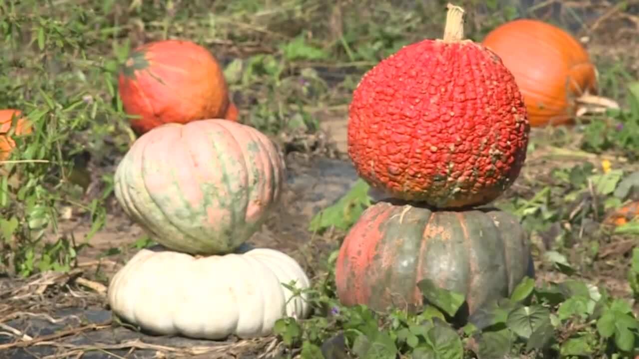 Poster image - 2023-10-13T142752.019.jpg