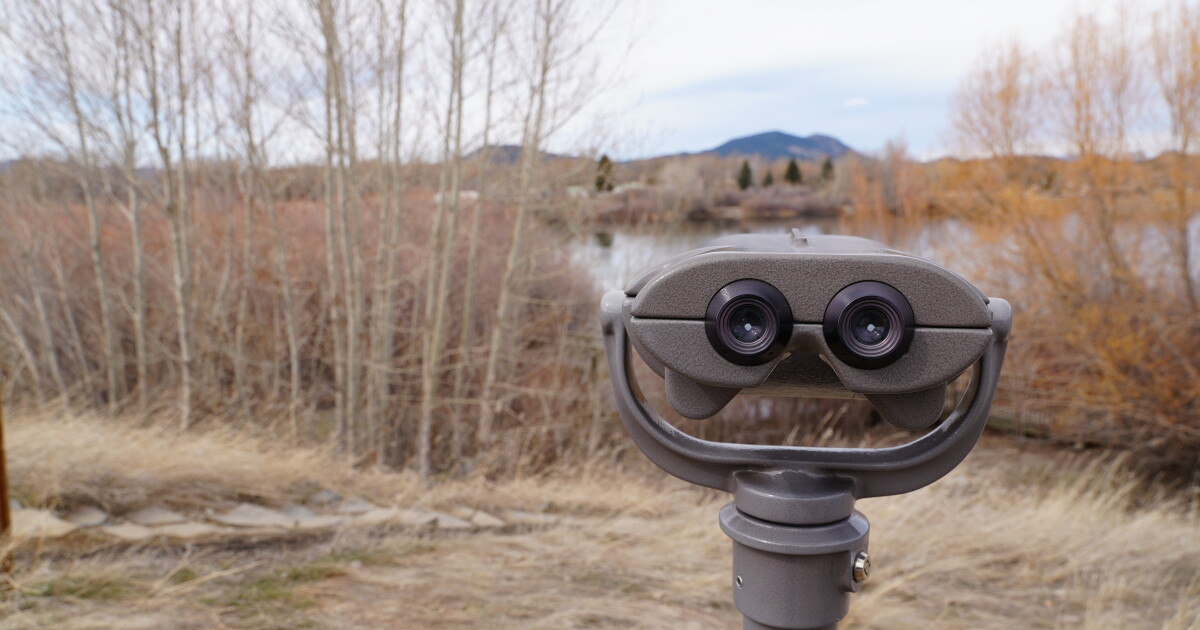 It's a great time to pick up birding in Montana - Vimarsana News