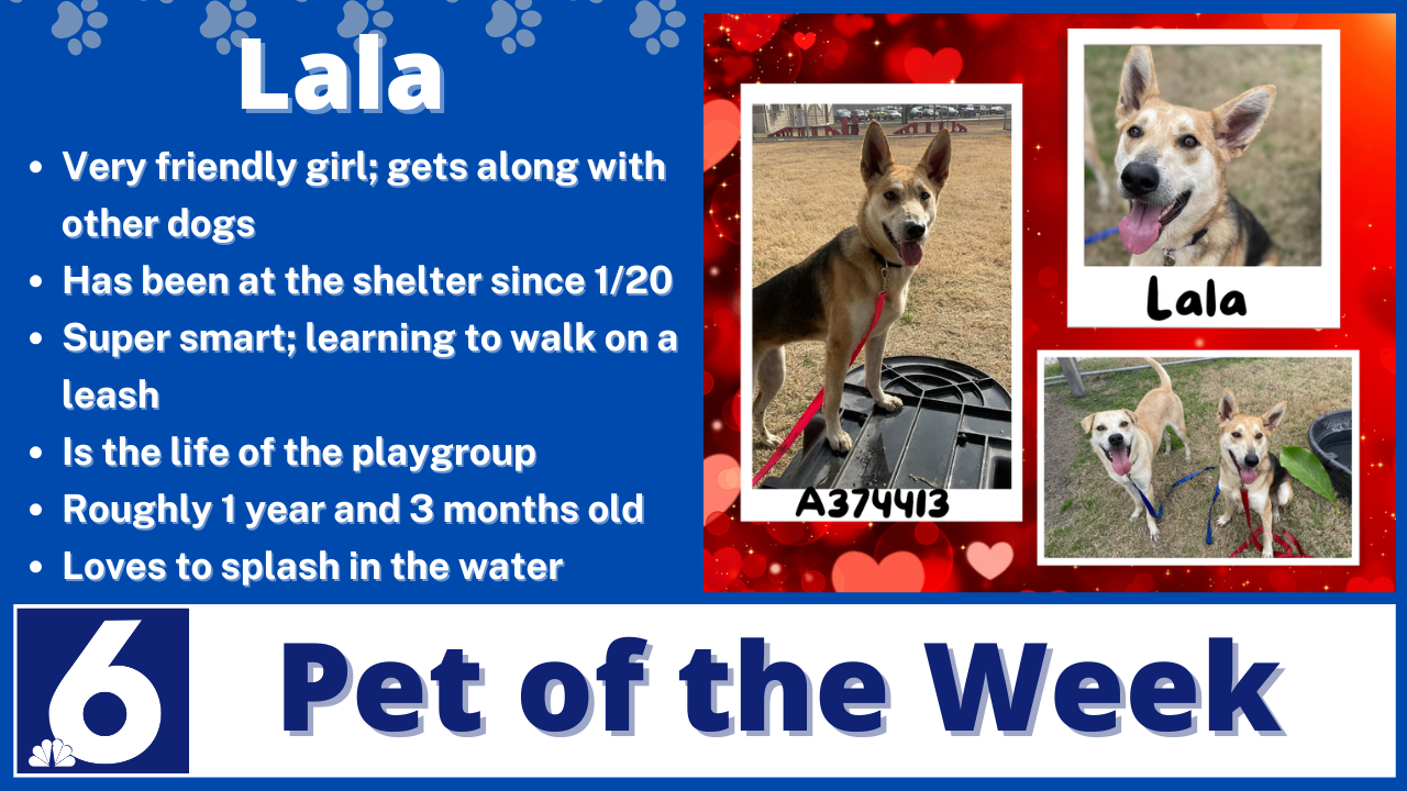 Pet of the Week: Lala