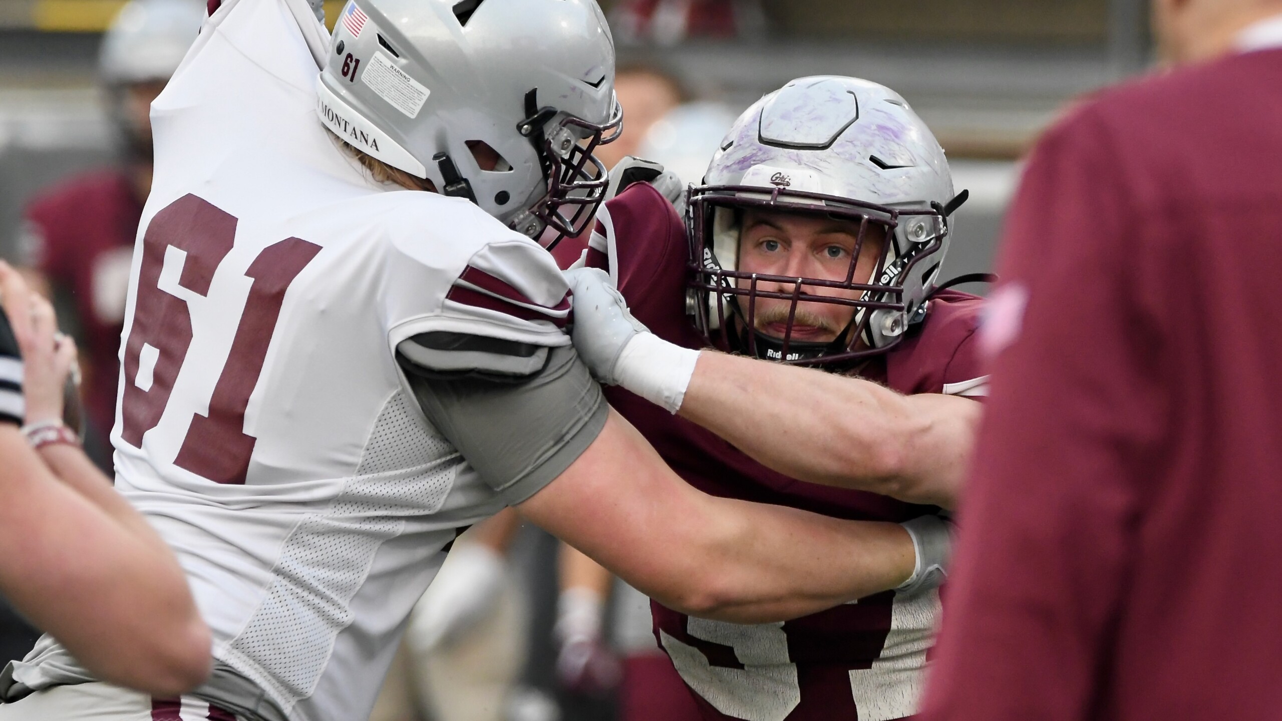Montana Grizzlies spring football game