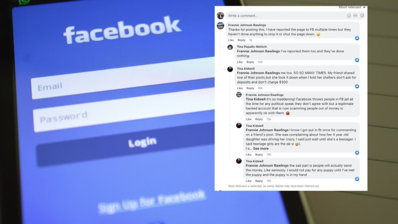 Poster image - 2022-08-05T134357.669.jpg