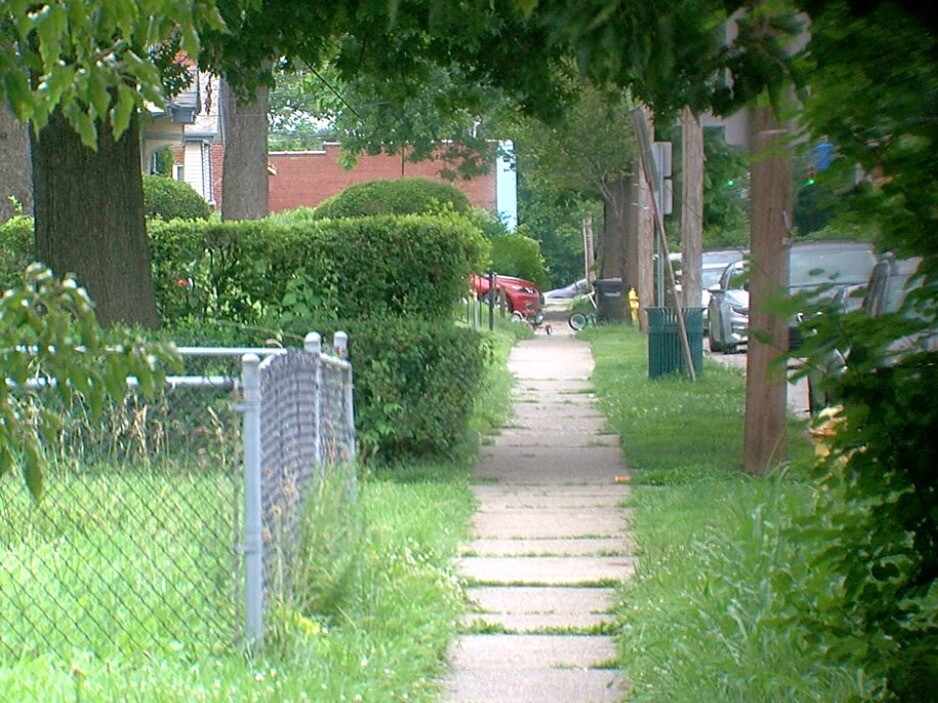 California_Avenue_in_Bond_Hill.jpg