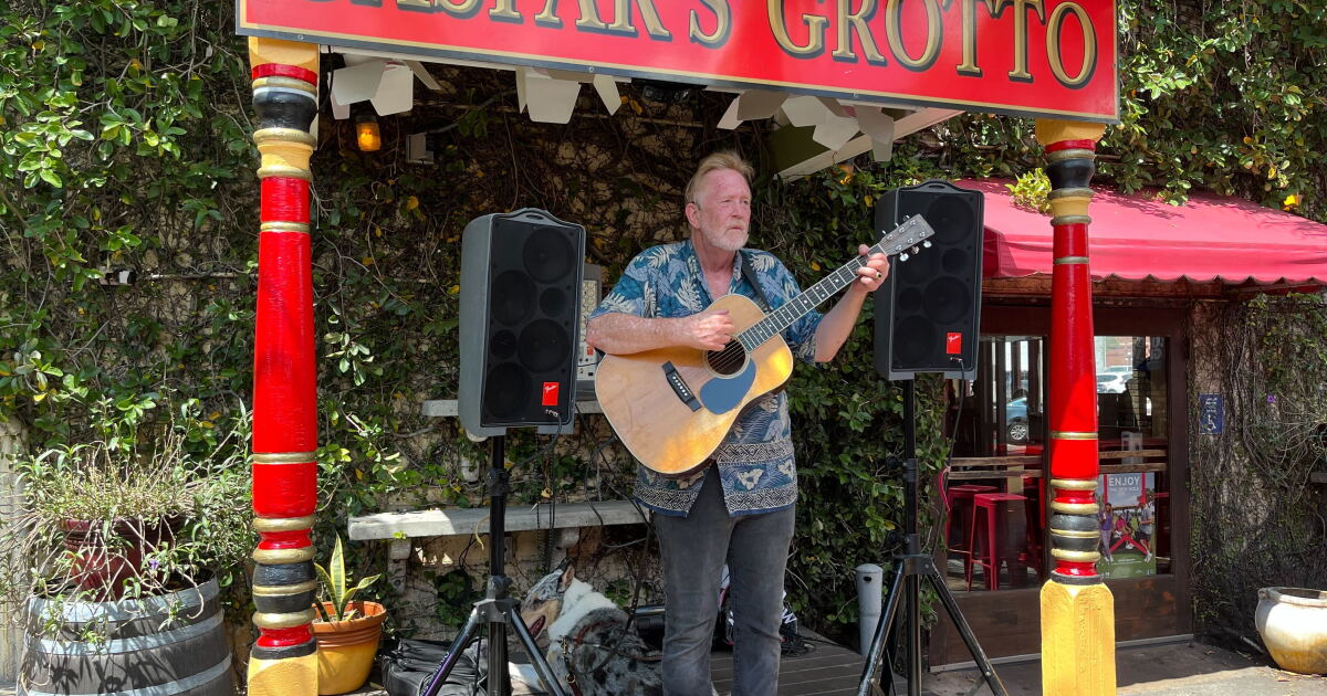 Musician highlights Service Dog Awareness Month on stage - Vimarsana News