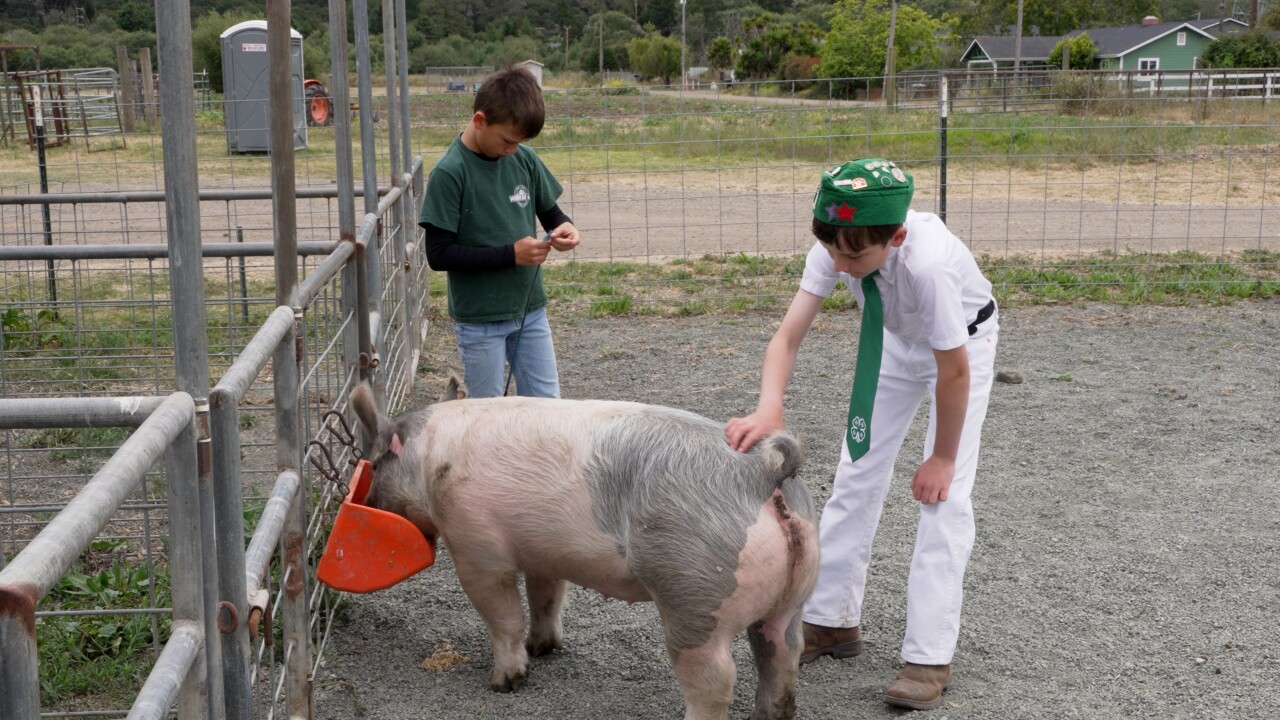 4-h.jpg