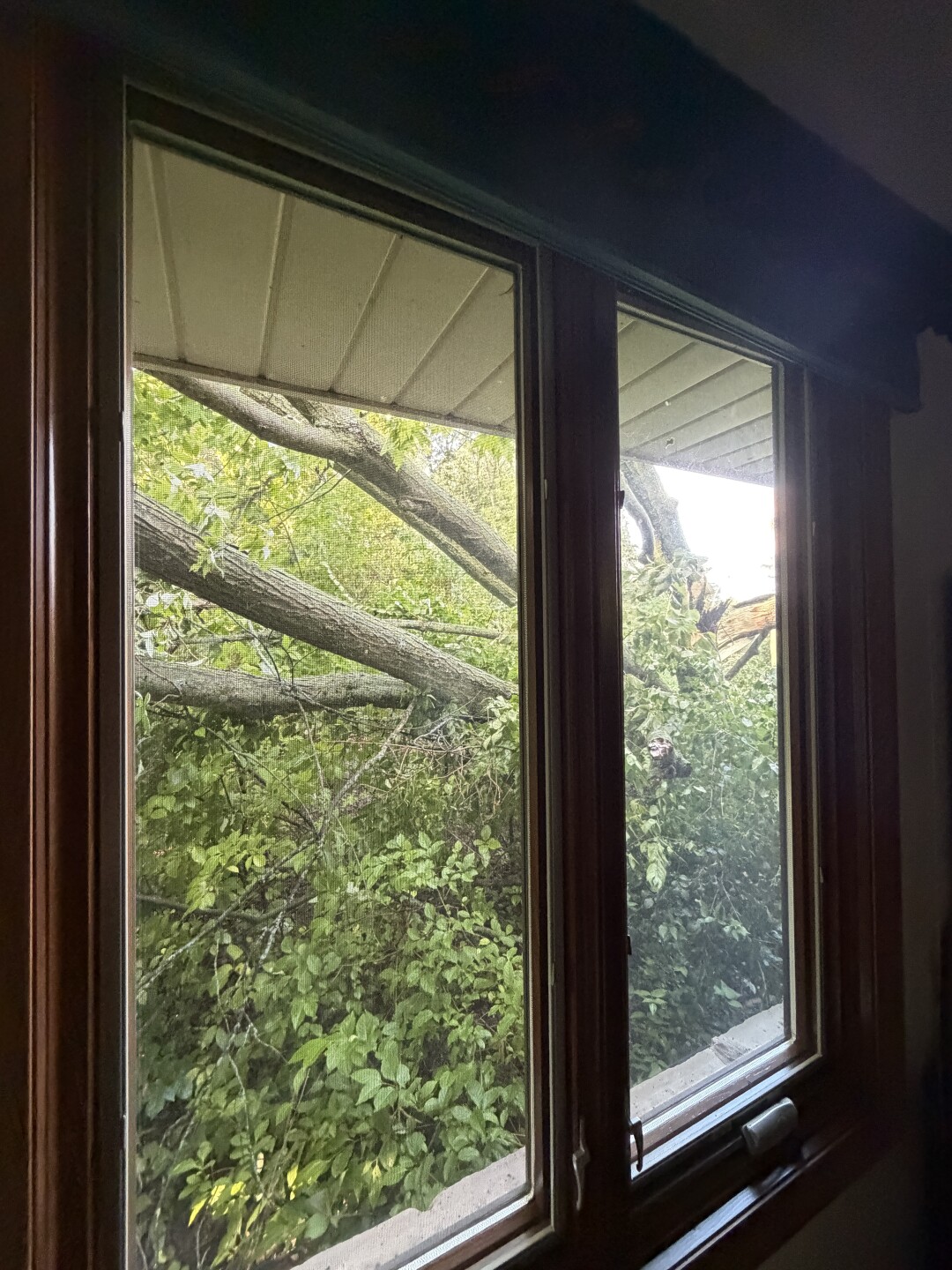 Tornado damage can't stop Richfield wedding this weekend, thanks to caring Washington County neighbors