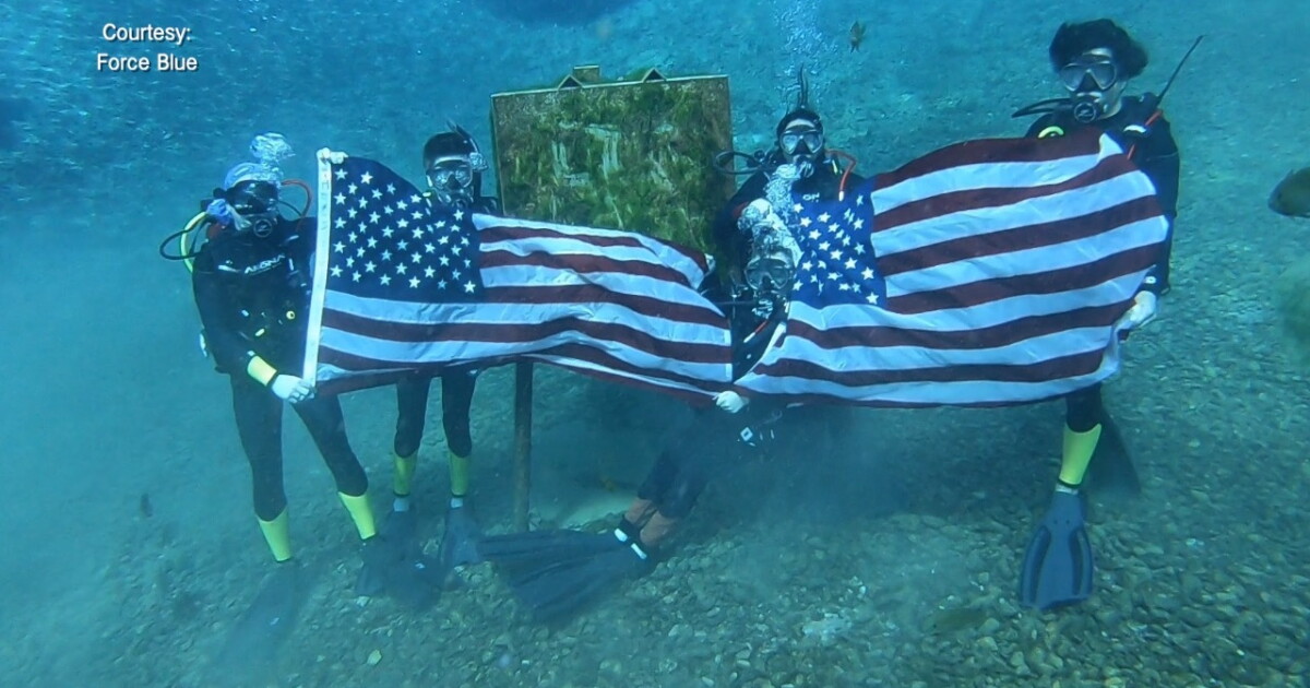 Nonprofit Force Blue teaches Gold Star children about ocean conservation - Vimarsana News