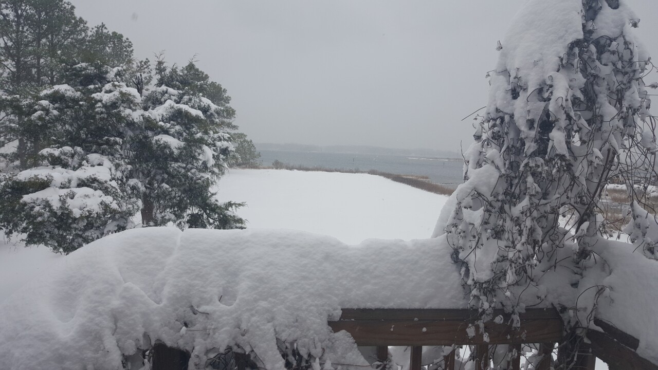 Pictures: Winter storm in Hampton Roads and NE North Carolina | Part 8
