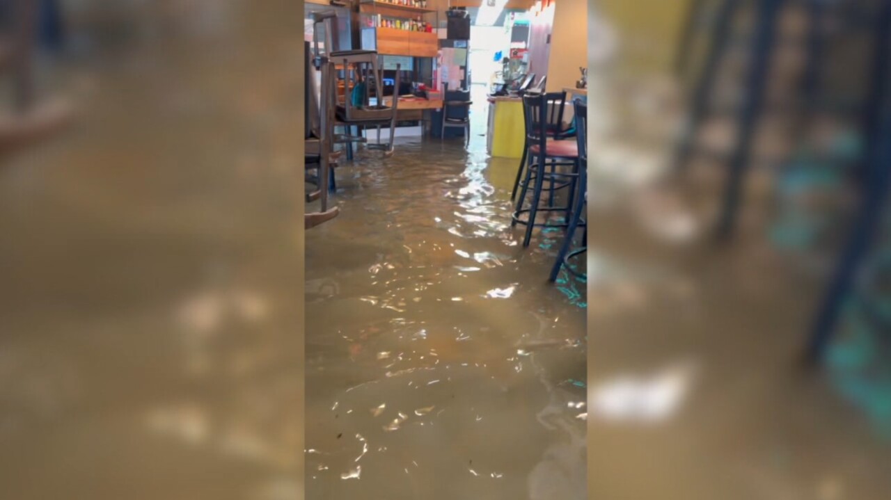 Neko Sushi flooding
