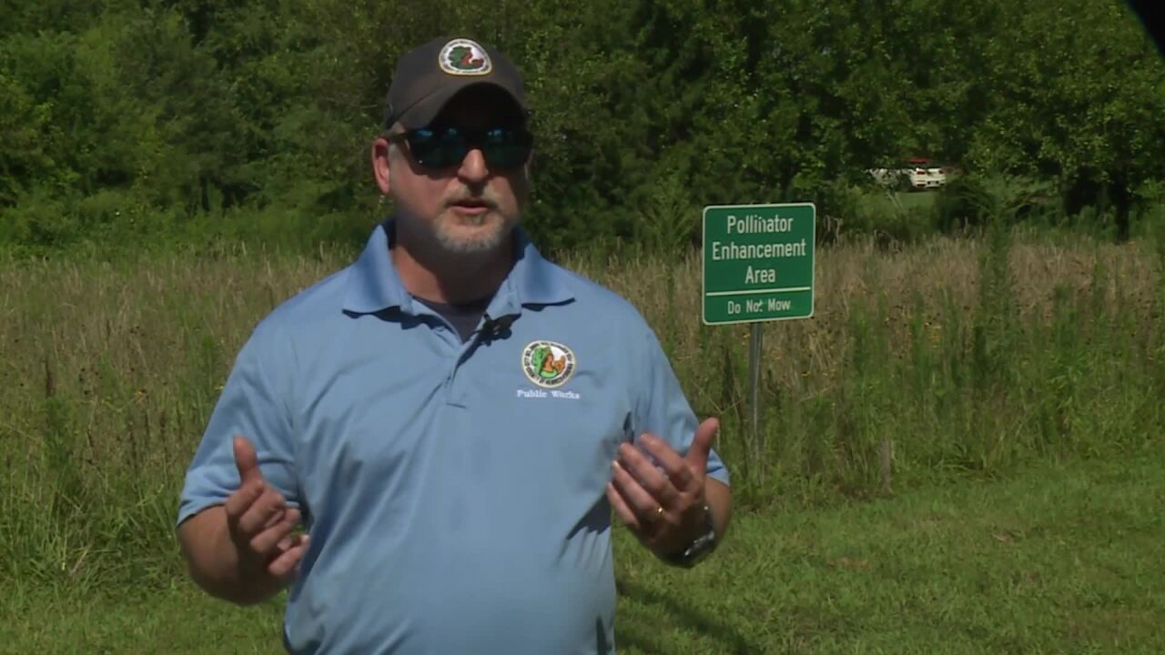 Henrico Pollinator Project
