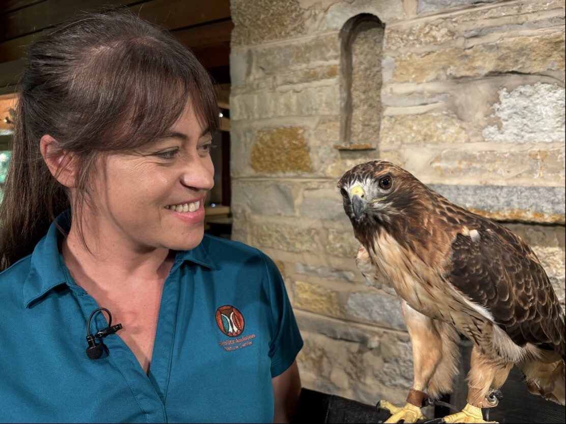 Lindsay Focht, Raptor program director, says,