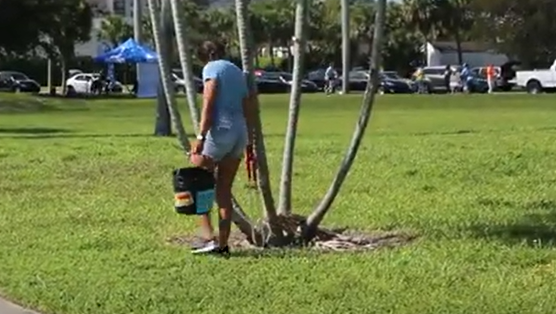 Cleanup in West Palm Beach on April 22, 2023..png