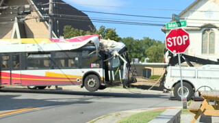 TreeOnBus Pic3.jpg