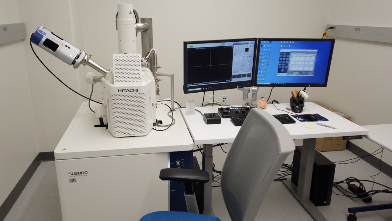 Scanning electron microscope
