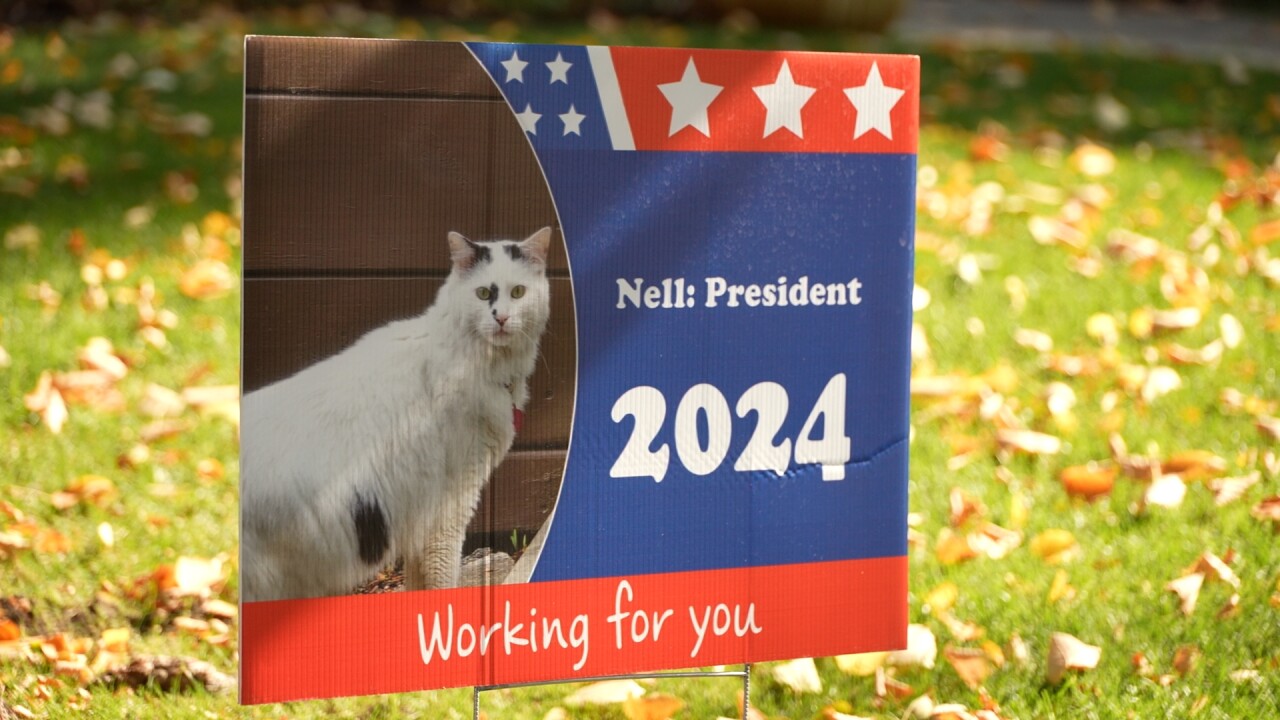 'Keep it civil': Cat campaign signs in Billings neighborhood hold important reminder during elections