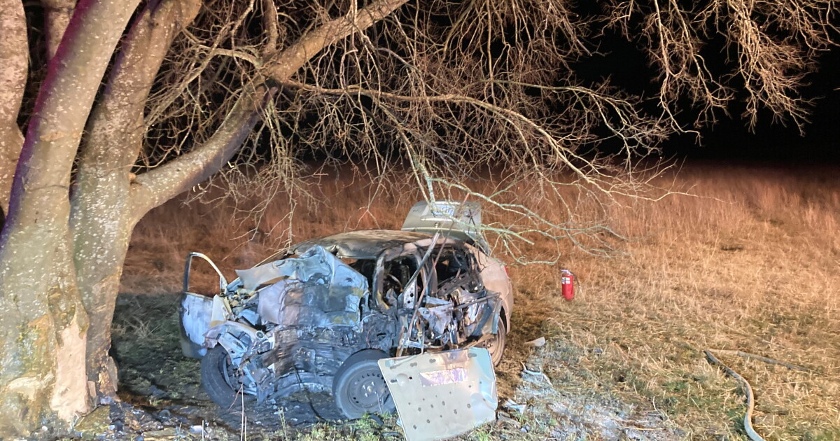 Driver dead after striking tree, vehicle catches fire in Yorktown