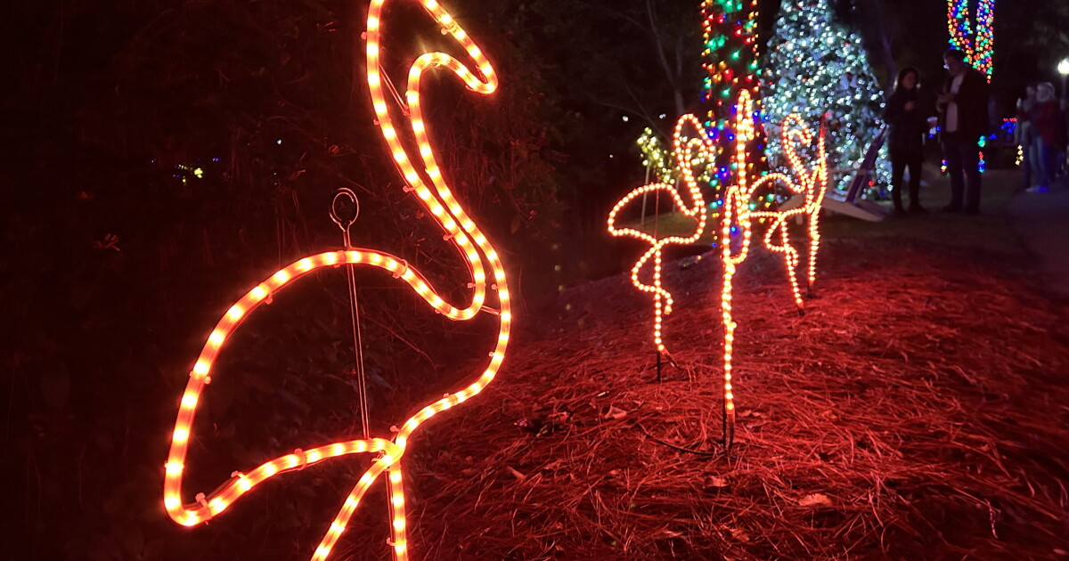 Light display at Florida Botanical Gardens could be named one of nation's best - Vimarsana News