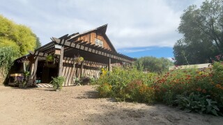 Mason Creek Farm