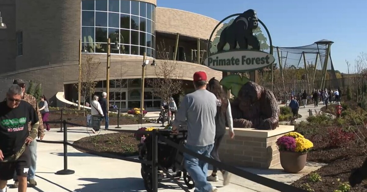Cuyahoga County Cleveland Metroparks Zoo opens new Primate Forest after 2-year renovation Damon Maloney