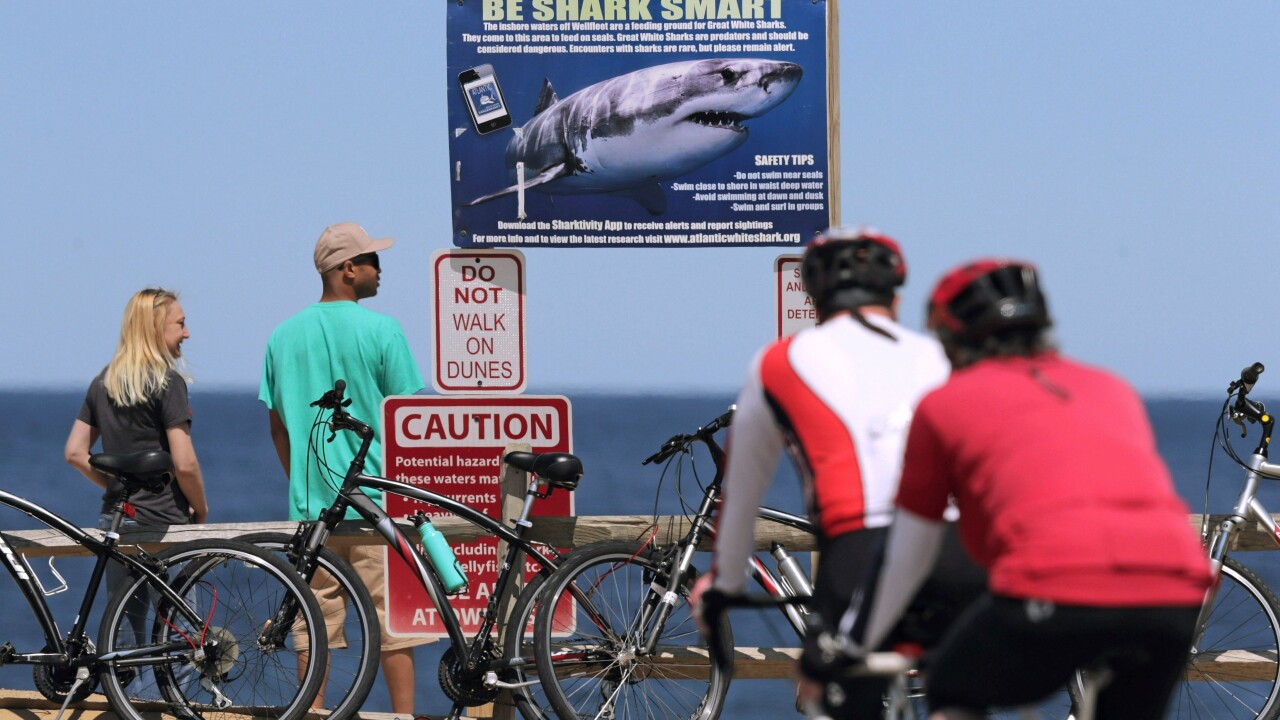 Federal Shark Alerts
