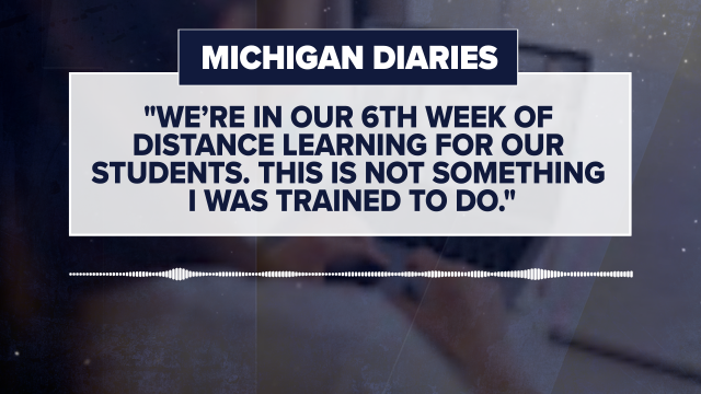 Michigan Diaries Project, Michigan State University