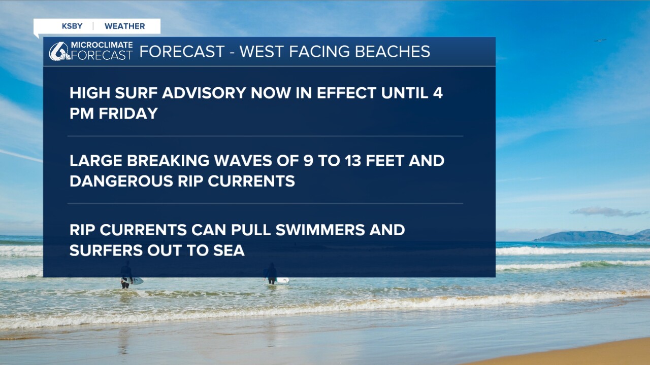 WX GRAPHIC 1