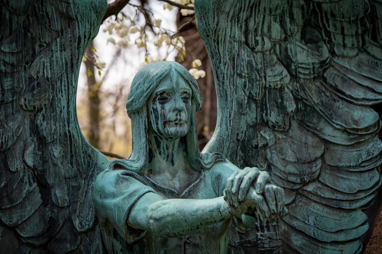 Hidden Gems - Haserot Angel 2.jpg