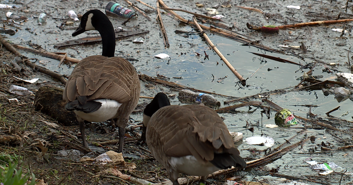 Missouri lawmaker works to remove single-use plastics from state parks