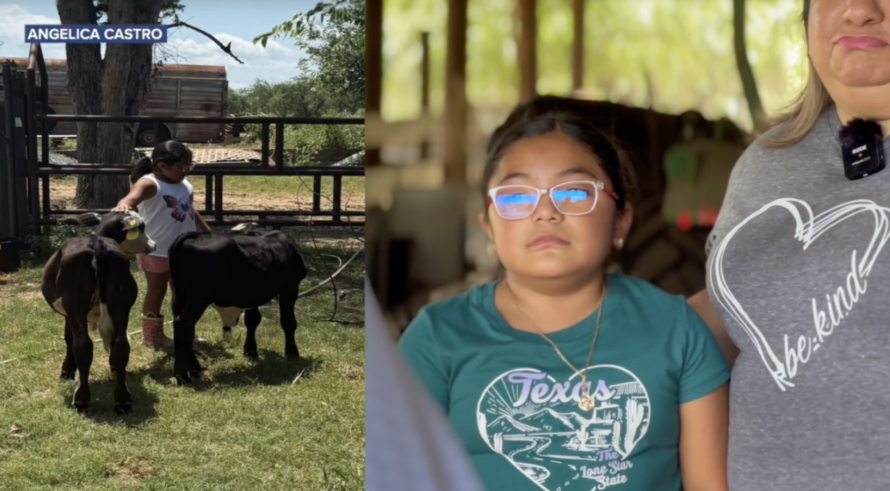 Cattle theft devastates Calvert family, highlights growing crime trend across Central Texas