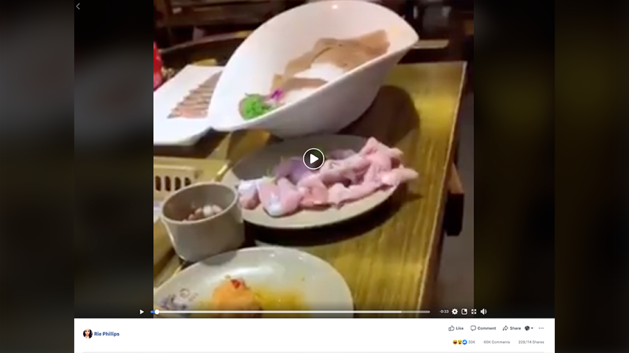 That viral video of a 'zombie chicken?' Experts say it's 'implausible'