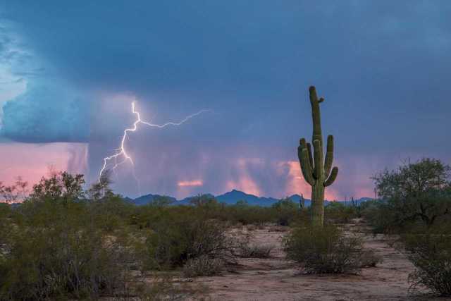 GALLERY: Monsoon 2018