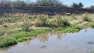 The Santa Cruz River near Cushing Street