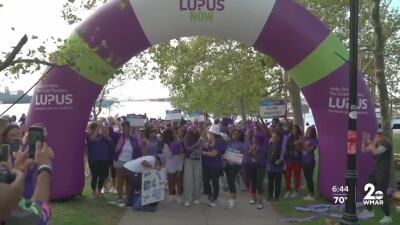 Baltimore lupus walk raises $65,000 for research at Canton Waterfront