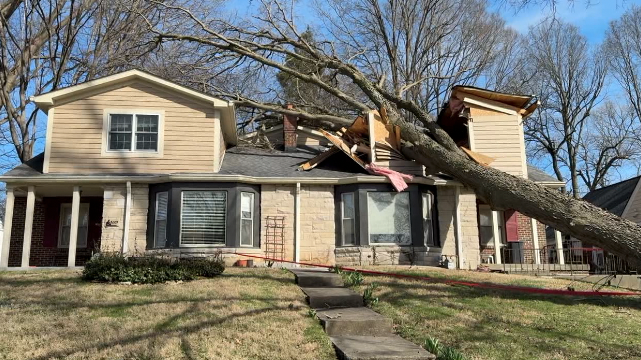 Screenshot 2026-03-13 at 6.43.33 PM.png