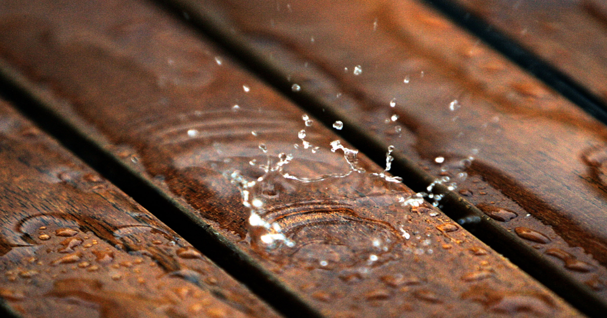 Lingering showers and cooler today, but still humid