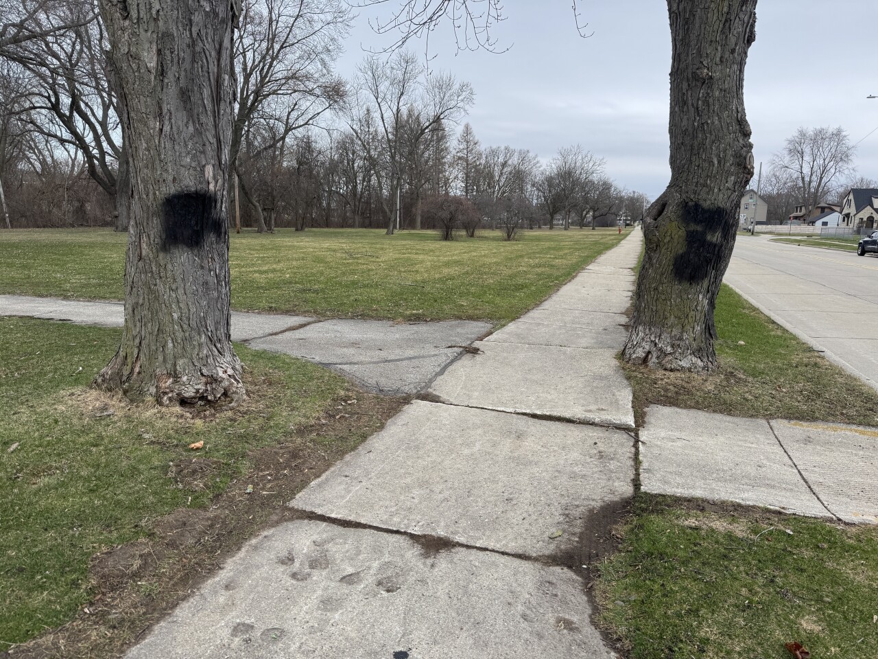 Trees spray painted over